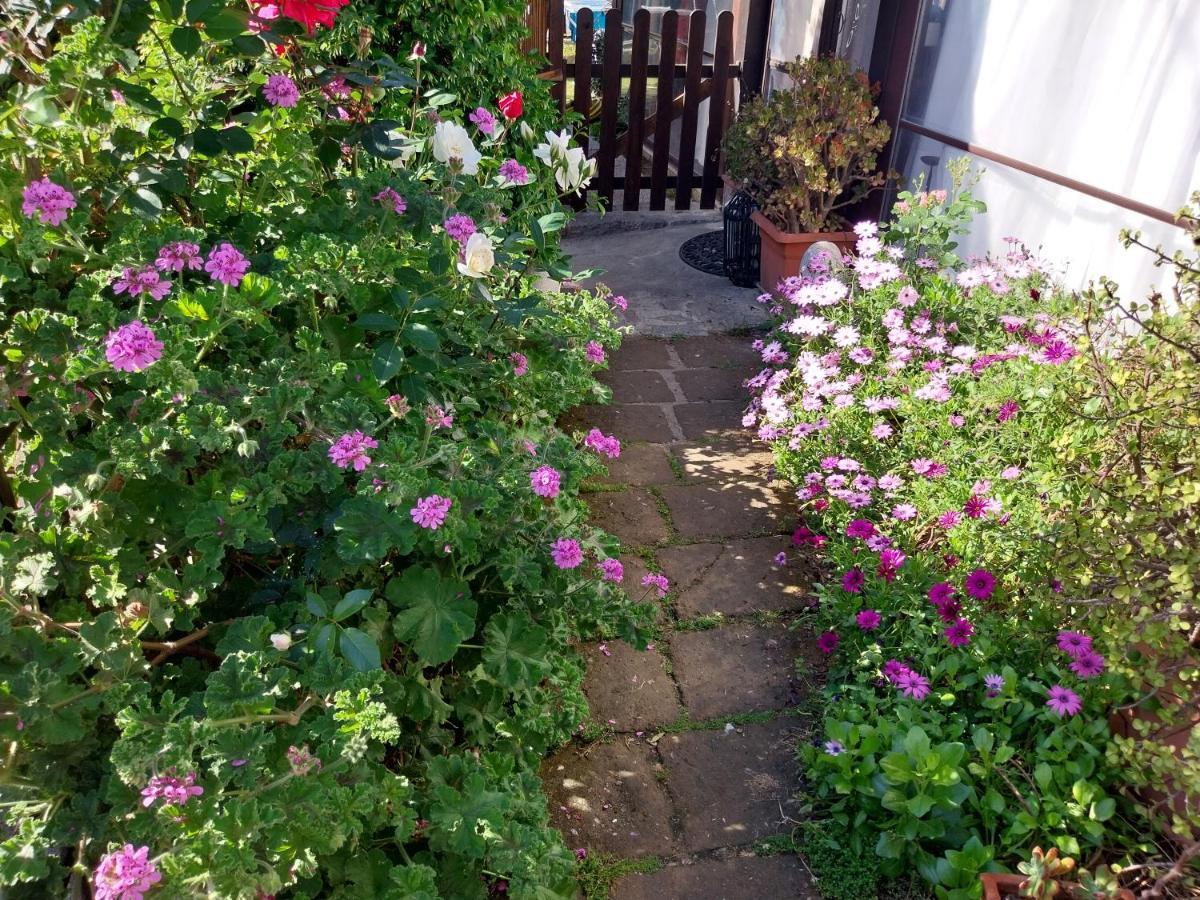Villa Villacolle 프로키오 외부 사진